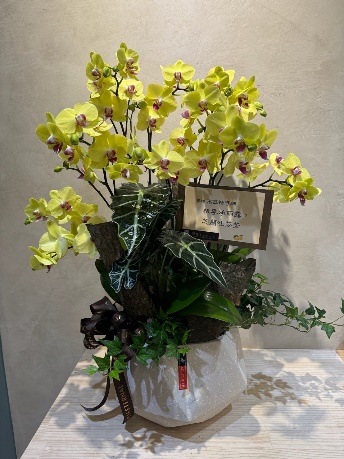 開幕蘭花