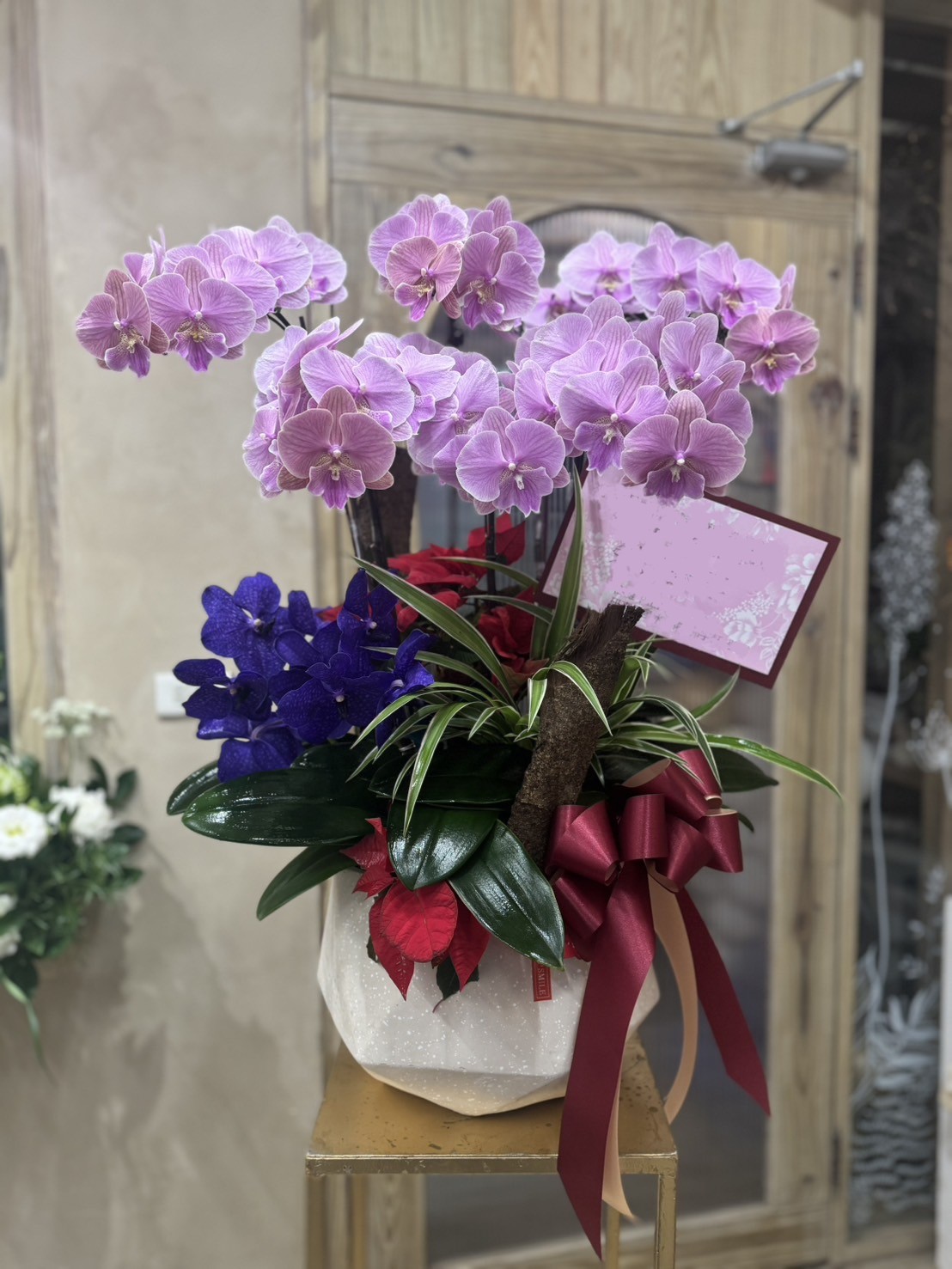開幕蘭花